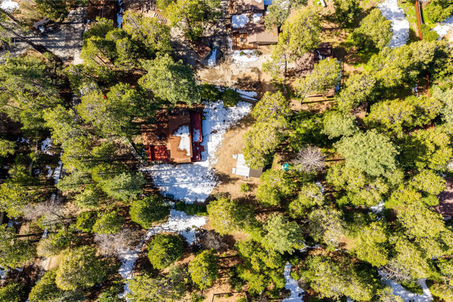 54820 Fern Drive, Idyllwild CA: https://media.crmls.org/mediaz/157ab10c-f1bb-4187-b733-3242ef92ea96.jpg