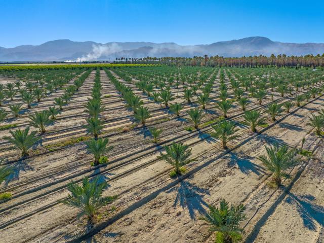 0 Fillmore St, Thermal CA: https://media.crmls.org/mediaz/157c73f5-0006-4ab4-8156-edd0c4f12008.jpg