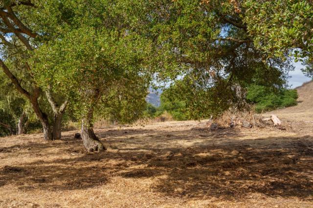 367 San Benancio, Salinas CA: https://media.crmls.org/mediaz/158b44a0-1696-43d9-8a40-39c59d54975a.jpg