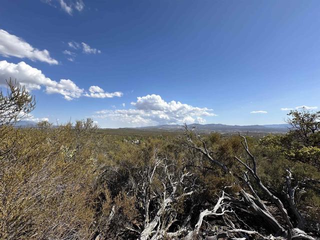 Detail Gallery Image 14 of 19 For 0 Saddleback Rd, Anza,  CA 92539 - – Beds | – Baths