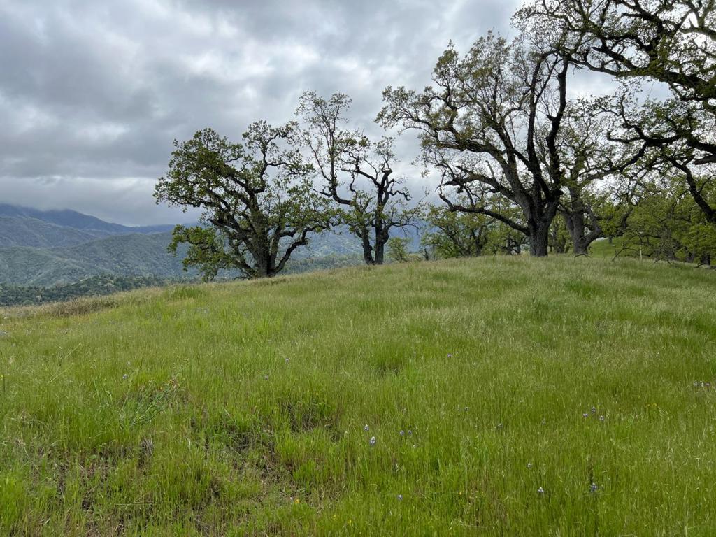 MLS #ML82007500 image #6