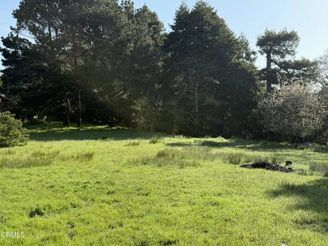 596 S Sanderson Way, Fort Bragg CA: https://media.crmls.org/mediaz/15a15a56-ea68-42fd-a008-5601d75408cd.jpg