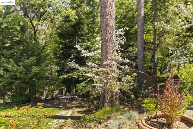20581 Gerber Rd, Tuolumne CA: https://media.crmls.org/mediaz/15a7069b-cd7d-462a-a731-69b4988341a7.jpg