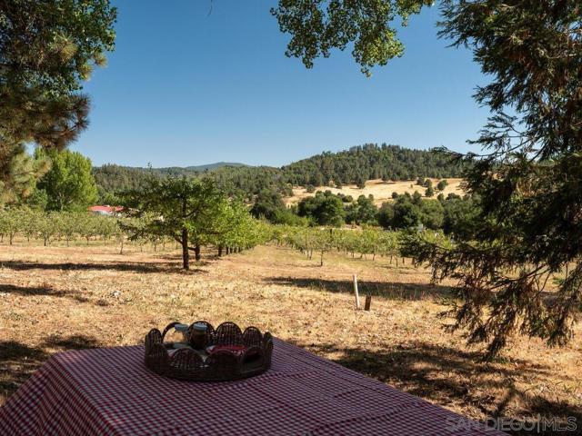 1209 Farmer Road, Julian CA: https://media.crmls.org/mediaz/15a82e8d-a368-4493-8761-47e06ebf68ab.jpg