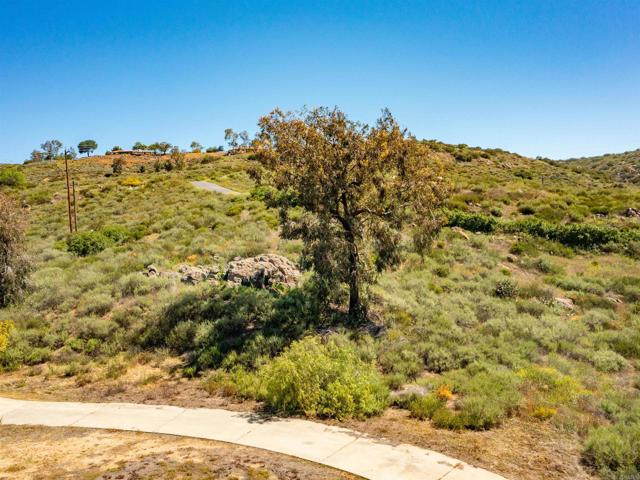 Detail Gallery Image 12 of 42 For 18405 Rangeland Rd, Ramona,  CA 92065 - – Beds | – Baths