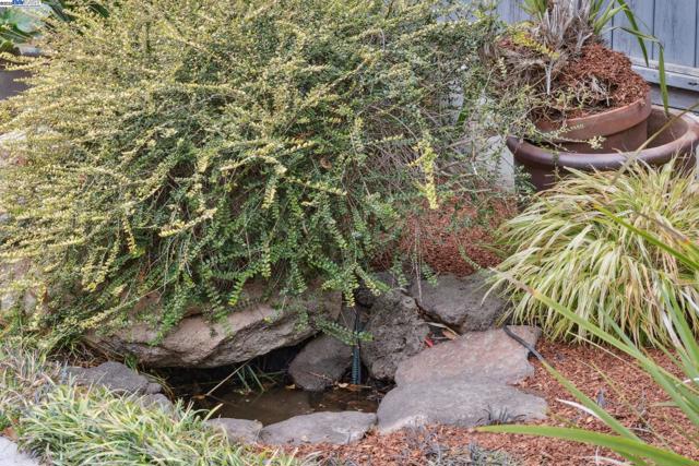 Image 43 of 51 For 1149 Amador Avenue