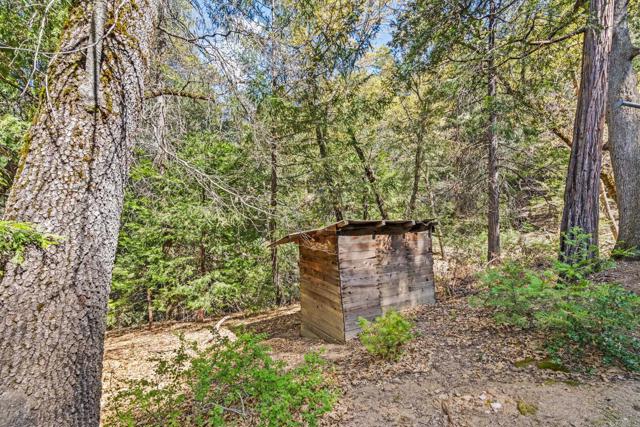 Detail Gallery Image 15 of 30 For 14 +/- Acres Palomar Divide Truck Trl, Palomar Mountain,  CA 92060 - – Beds | – Baths