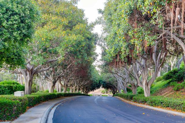 4470 Caminito Tecera, Del Mar CA: https://media.crmls.org/mediaz/15cb5235-4b79-44eb-a3db-9fb68b5ca0ea.jpg