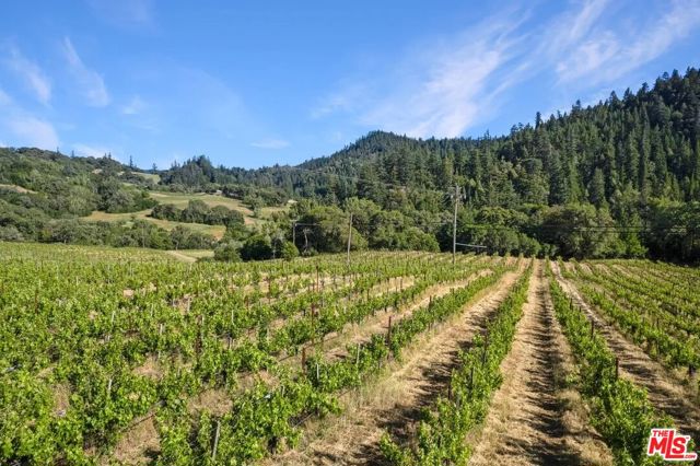 20799 Highway 128, Yorkville CA: https://media.crmls.org/mediaz/15cd7419-239c-41f5-84da-3a5acf95bbd2.jpg