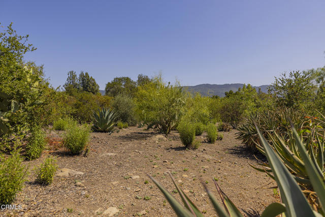 Detail Gallery Image 6 of 13 For 1 Henderson Rd, Ojai,  CA 93023 - – Beds | – Baths