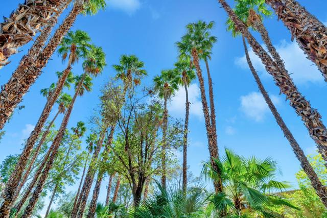 360 Cabrillo Road, Palm Springs CA: https://media.crmls.org/mediaz/15d3da4d-e1cb-43c6-ba06-a99ed3bb7ef1.jpg