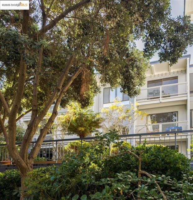 7 Commodore DR, Emeryville CA: https://media.crmls.org/mediaz/15d6b9a1-21d8-426b-bbed-e9b9d1039976.jpg