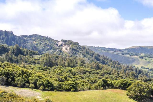 29 Potrero Trail, Carmel CA: https://media.crmls.org/mediaz/15dc3e81-c65a-42f9-aebe-1e5563784e55.jpg