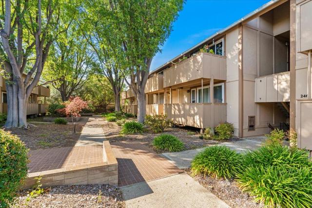 2466 W Bayshore Road, Palo Alto CA: https://media.crmls.org/mediaz/15e9383c-ca8a-453f-bfae-5d0ba81eeb4c.jpg