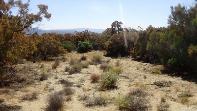 Detail Gallery Image 10 of 41 For 37245 Old Forest Rd, Anza,  CA 92539 - – Beds | – Baths