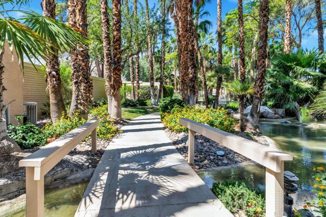360 Cabrillo Road, Palm Springs CA: https://media.crmls.org/mediaz/15f2ddd7-001c-4e18-b590-bab1eb209a90.jpg