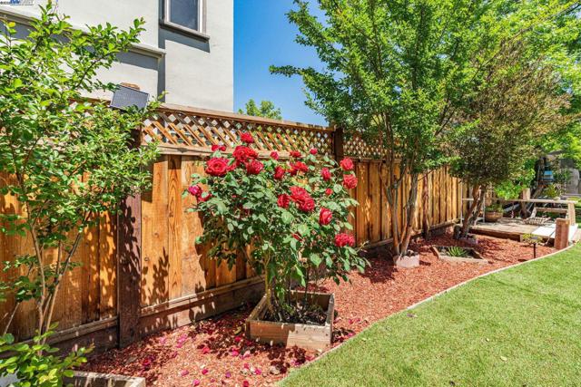 3535 Lessini, Pleasanton CA: https://media.crmls.org/mediaz/15f55d12-360b-4284-bd39-d263b57e6009.jpg