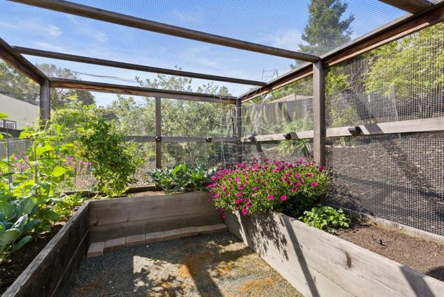 322 Elm Street, San Carlos CA: https://media.crmls.org/mediaz/15f707d2-f456-430c-bf3b-189786215821.jpg