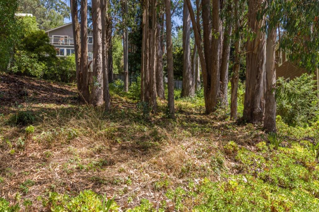 MLS #ML82001283 image #7