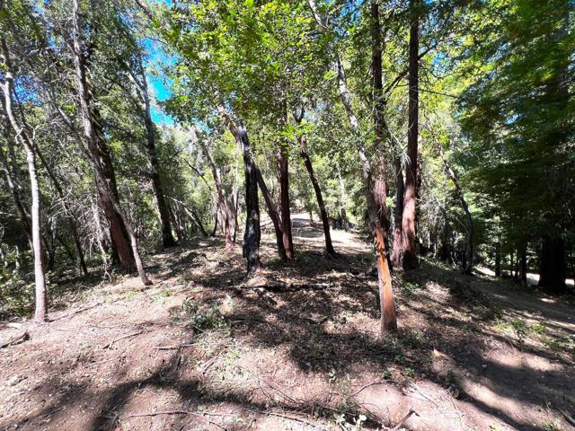 0 E Hilton, Boulder Creek CA: https://media.crmls.org/mediaz/1607ba37-1db5-4e23-80b8-9104ce2c7ea8.jpg