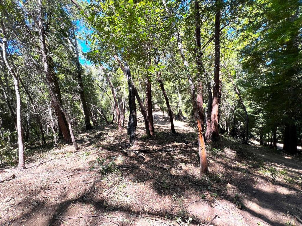 MLS #ML81973209 image #34