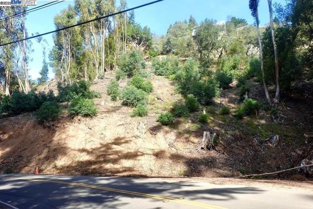 7590 Skyline Blvd, Oakland CA: https://media.crmls.org/mediaz/160e48fd-9c37-4dc4-b885-949512d7c9ce.jpg