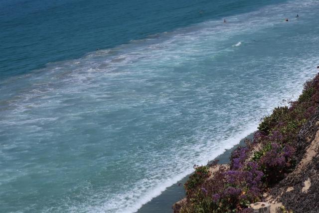 Detail Gallery Image 4 of 44 For 224 Neptune Ave, Encinitas,  CA 92024 - 2 Beds | 2/1 Baths