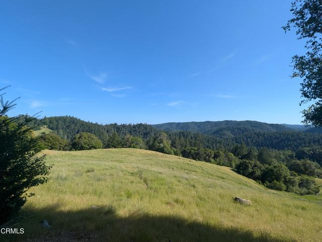 Detail Gallery Image 45 of 49 For 22346 Rickard Ranch Rd, Point Arena,  CA 95468 - – Beds | – Baths