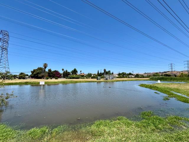 117 Fisk Terrace, Fremont CA: https://media.crmls.org/mediaz/161454ae-92c6-4f16-b7ef-c01790a5a1ec.jpg