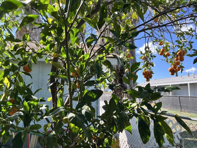 Detail Gallery Image 12 of 22 For 1537 H Street #35,  Ramona,  CA 92065 - 3 Beds | 2 Baths