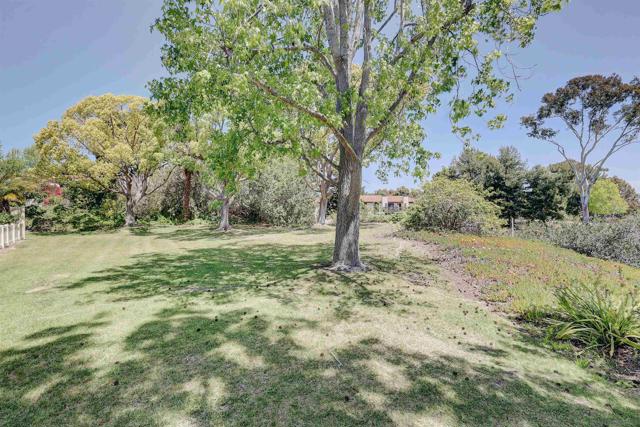 1982 Fairlee, Encinitas CA: https://media.crmls.org/mediaz/161acf68-36e6-4ad8-adf5-eaba69ce2458.jpg