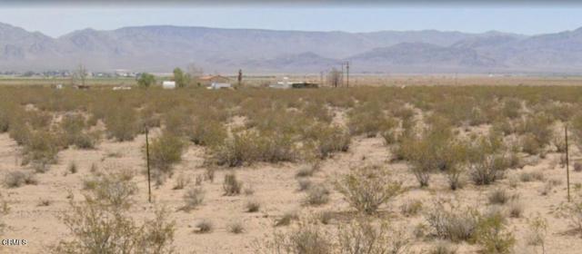 Detail Gallery Image 6 of 38 For 26 Cheyene, Baker,  CA 92309 - – Beds | – Baths