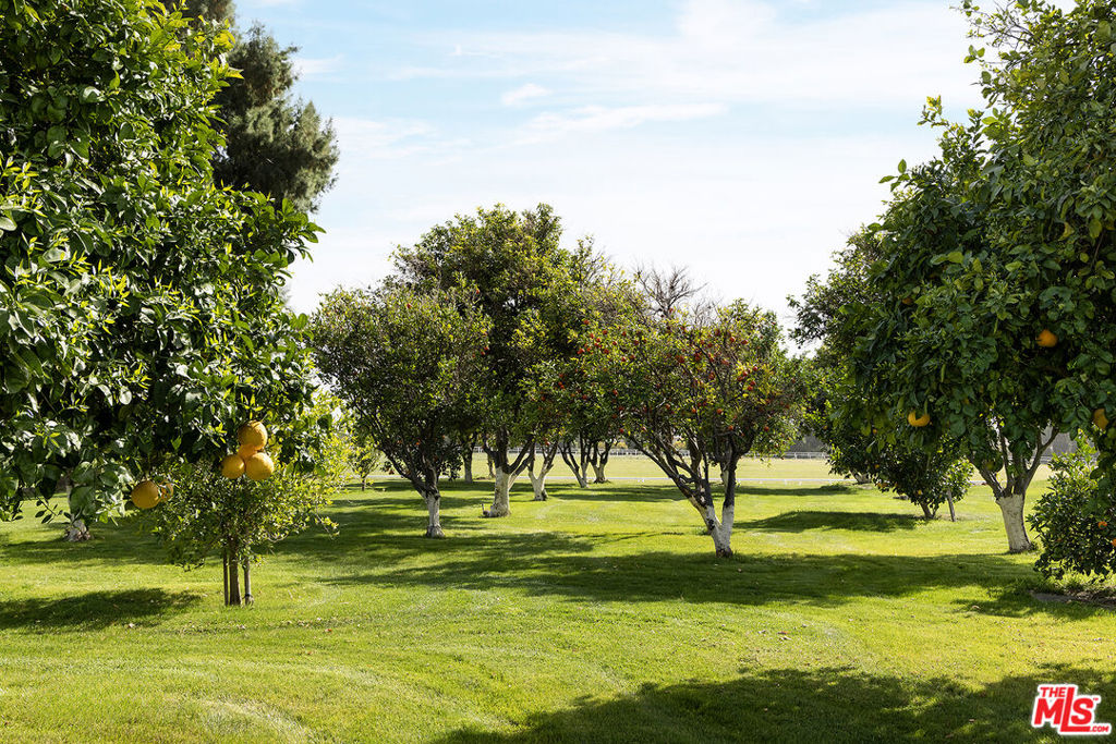 MLS #25495789 image #26