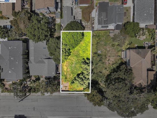 310 Spruce St, Alameda CA: https://media.crmls.org/mediaz/1621b2e3-a4ea-4010-9399-34377edc9578.jpg