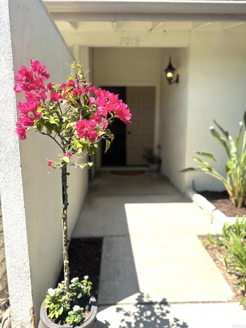 7019 Estrella De Mar Road, Carlsbad CA: https://media.crmls.org/mediaz/1622731b-33af-4afa-a76b-786a98b84f74.jpg