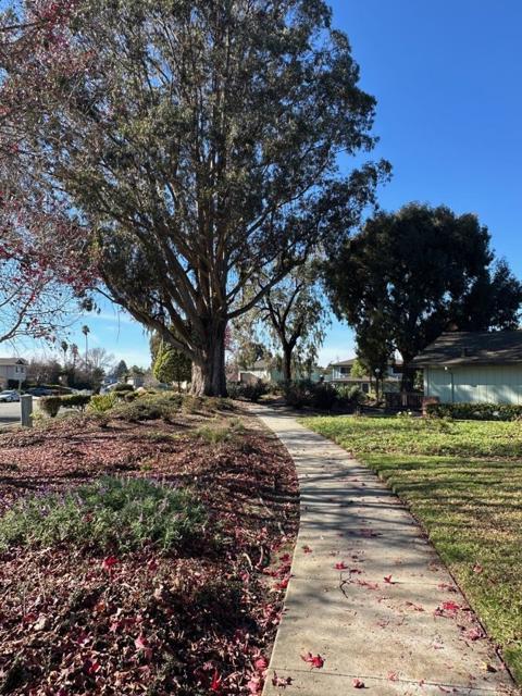 922 Ponselle Lane, Capitola CA: https://media.crmls.org/mediaz/16233881-9072-4d78-b1ec-43868a8d656a.jpg