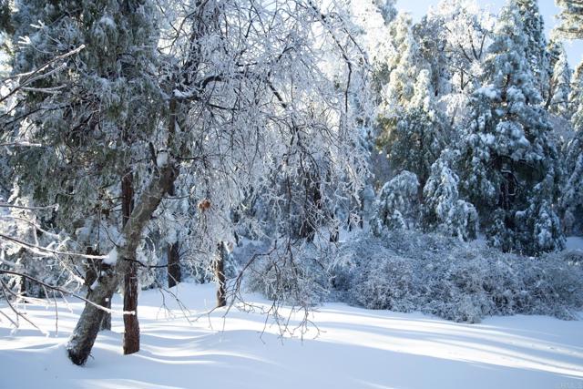 Detail Gallery Image 61 of 72 For 22234 Crestline Rd, Palomar Mountain,  CA 92060 - 3 Beds | 1/1 Baths