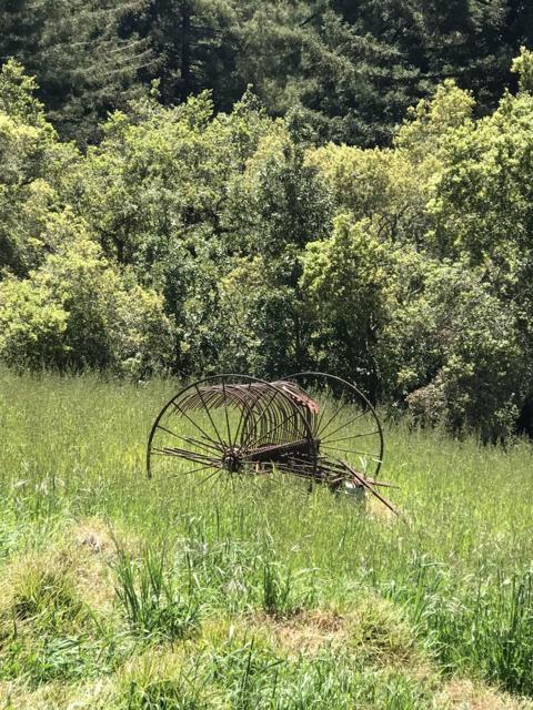 Image 35 of 58 For 1560 Tindall Ranch Road