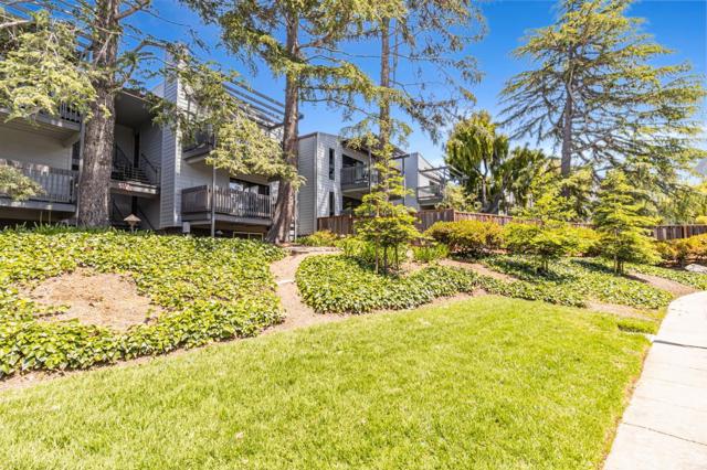 4175 George Avenue, San Mateo CA: https://media.crmls.org/mediaz/162f7b8f-917a-4e56-a08a-96034510999d.jpg
