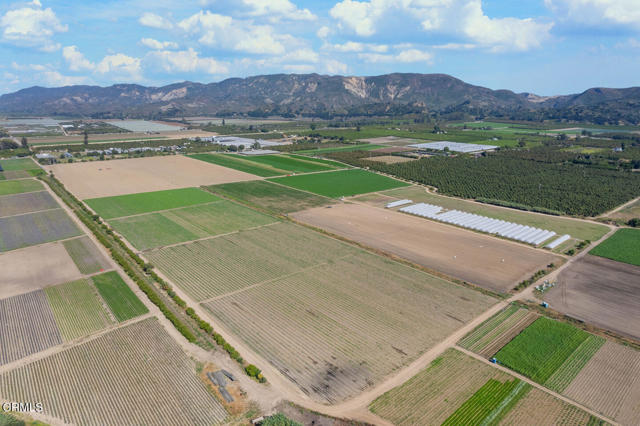 583 Ojai Street, Fillmore CA: https://media.crmls.org/mediaz/1649a98f-580a-45c7-bb83-fc15fbeb07f8.jpg