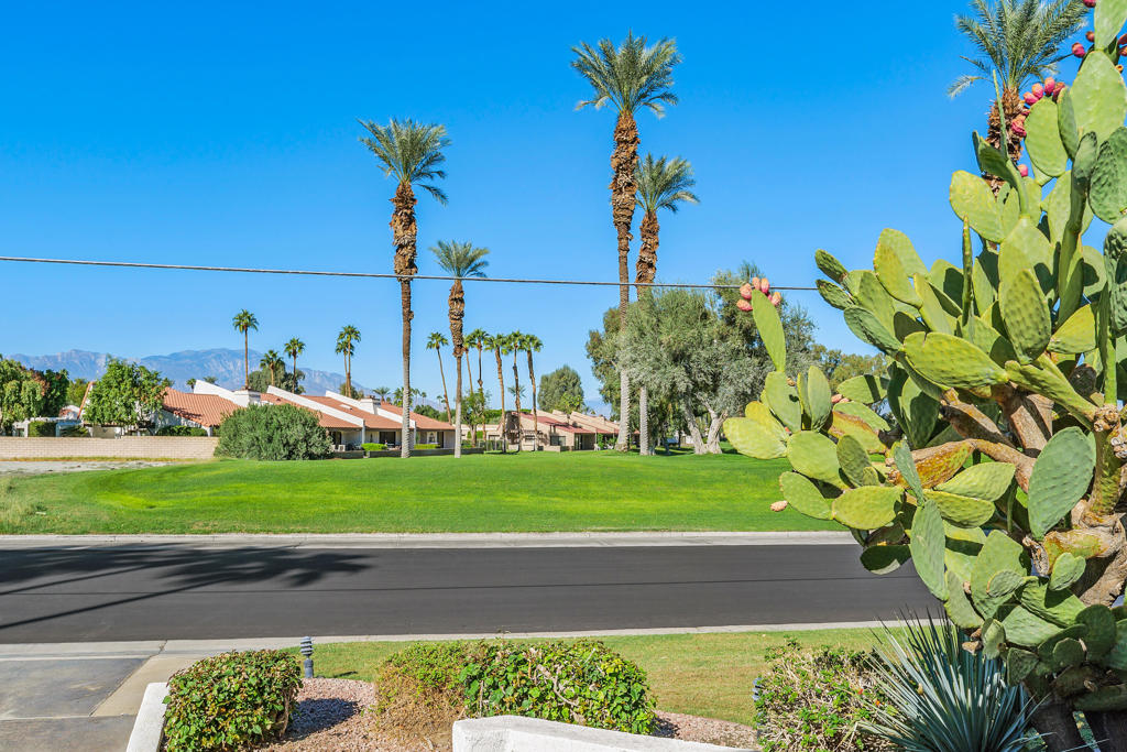 MLS #219138055DA image #3