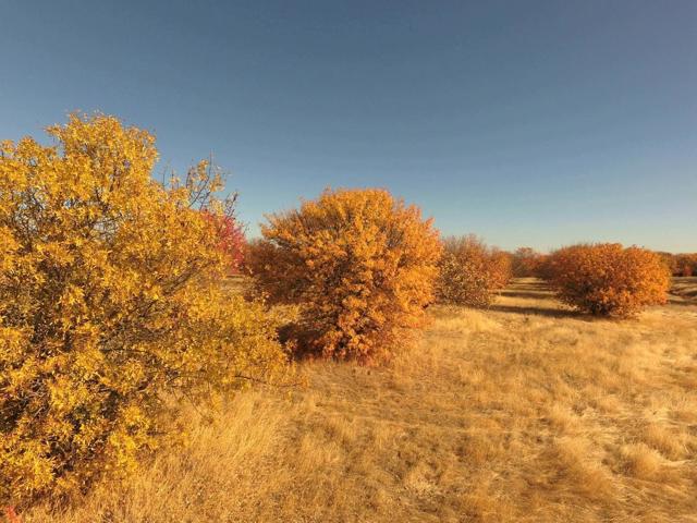 27643 County Road 88, Winters CA: https://media.crmls.org/mediaz/16534a23-ba0a-45bf-ba37-98aa6c034ac5.jpg