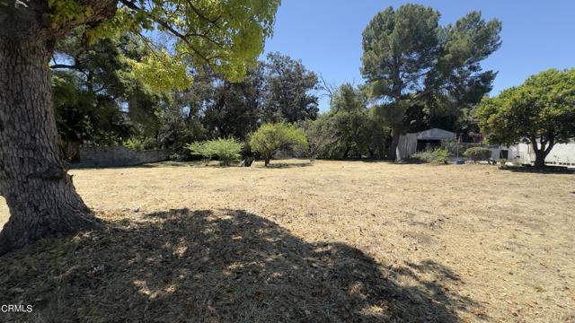 Detail Gallery Image 17 of 21 For 566 W Palm St, Altadena,  CA 91001 - – Beds | – Baths