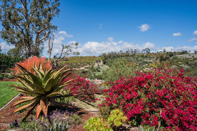 Detail Gallery Image 58 of 75 For 6065 Cielo Vista Ct, Camarillo,  CA 93012 - 6 Beds | 2/1 Baths