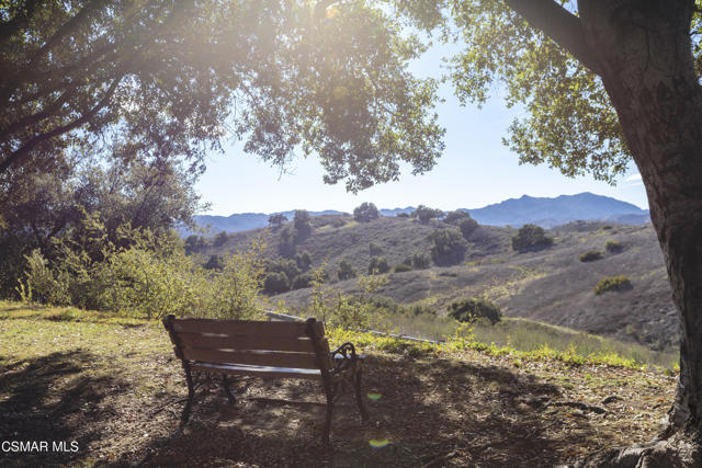 Community Bench View