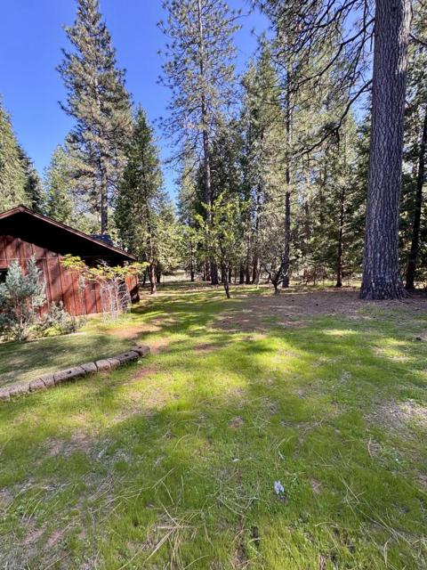 14543 Kathy Lane, Pioneer CA: https://media.crmls.org/mediaz/166162a3-d5c9-4cce-82ba-5f08814f0f66.jpg