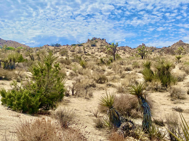 104 Bandera Road, Yucca Valley CA: https://media.crmls.org/mediaz/166ff65d-46a2-4c7d-84f9-a19705ee7503.jpg