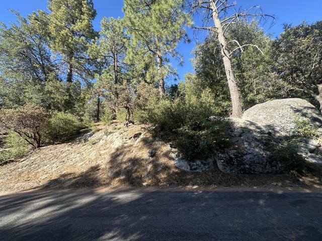 0 Northridge, Idyllwild CA: https://media.crmls.org/mediaz/167262bc-be26-4658-98da-b038f36493f2.jpg