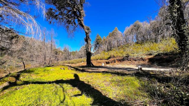 11035 Empire Grade, Santa Cruz CA: https://media.crmls.org/mediaz/1675d1c5-3ec2-4637-a9ee-c70eae2f2ee5.jpg