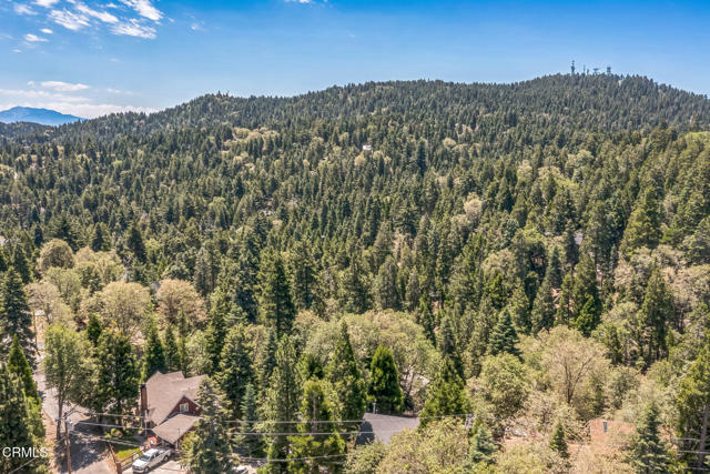 352 Cedarbrook Drive, Twin Peaks CA: https://media.crmls.org/mediaz/167cb962-e754-4b65-90eb-ec49cfb889f4.jpg